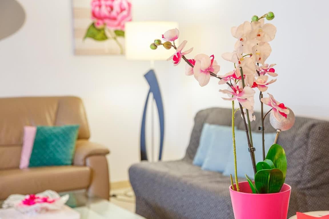Apartment Camelia - Et Intra-muros -parking Saint-Malo